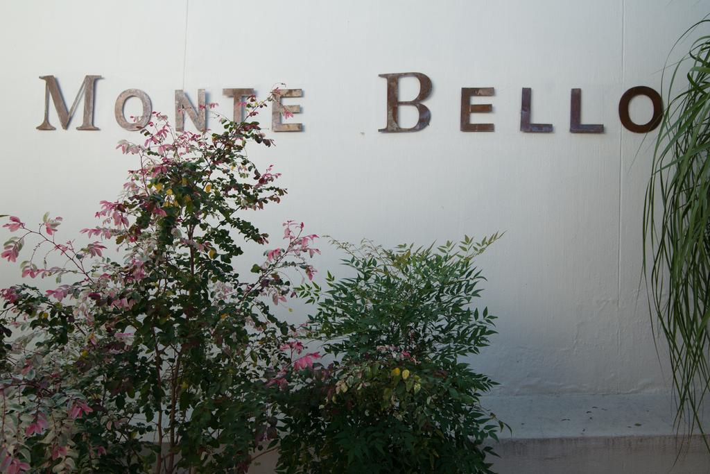 Montebello Guesthouse ウィントフーク エクステリア 写真